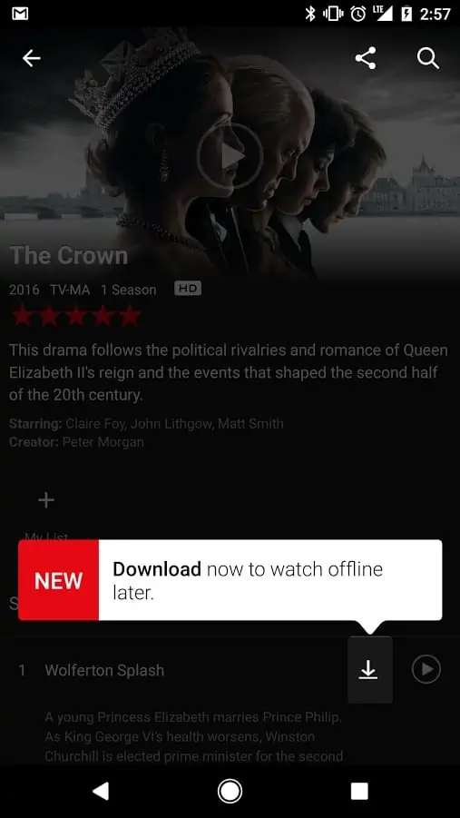 האם אפשר להוריד תוכניות עם נטפליקס Netflix